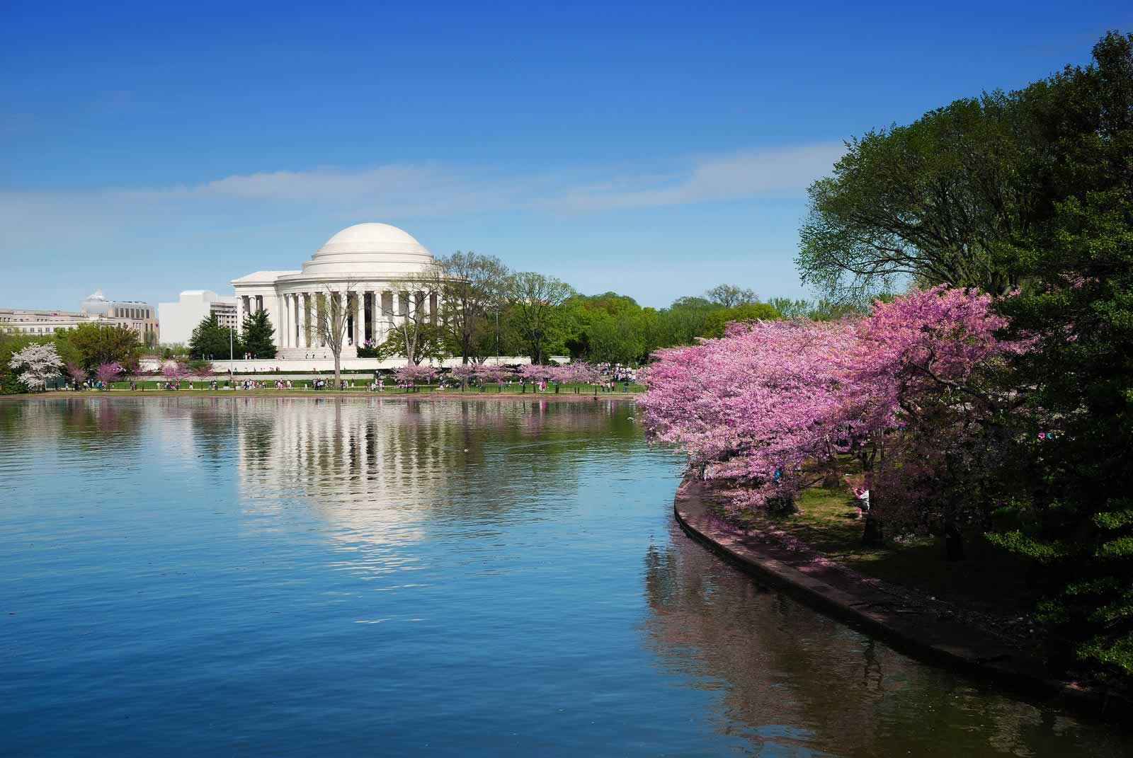 The Best Tours of DC