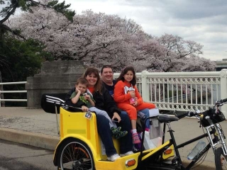 Cherry Blossom Tour
