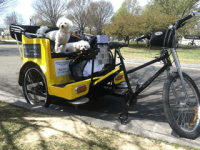 Best Dc Tours - Nonpartisan Pedicab