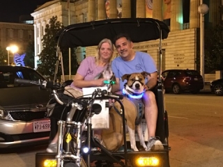 Dog Friendly Tours of Washington DC Dog Friendly Tours of Washington DC