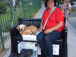 Dog Friendly Tour on Embassy Row Dog Friendly Tours of Washington DC