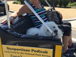 Dog Friendly Tours of Washington DC Dog Friendly Tours of Washington DC