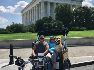 Dog Friendly Tour at Lincoln Memorial