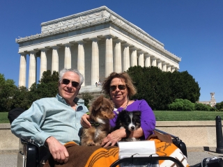 Dog Friendly Tour Washington DC Dog Friendly Tour Washington DC