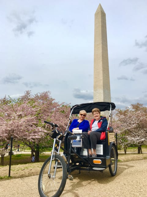Washington DC Cherry Blossom Tours