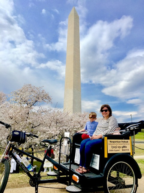Cherry blossoms at the Washington Monument