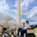 Cherry Blossom Festival Washington DC 2026