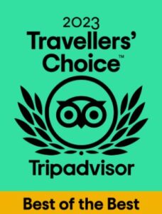 Nonpartisan Pedicab Traveler Choice Award